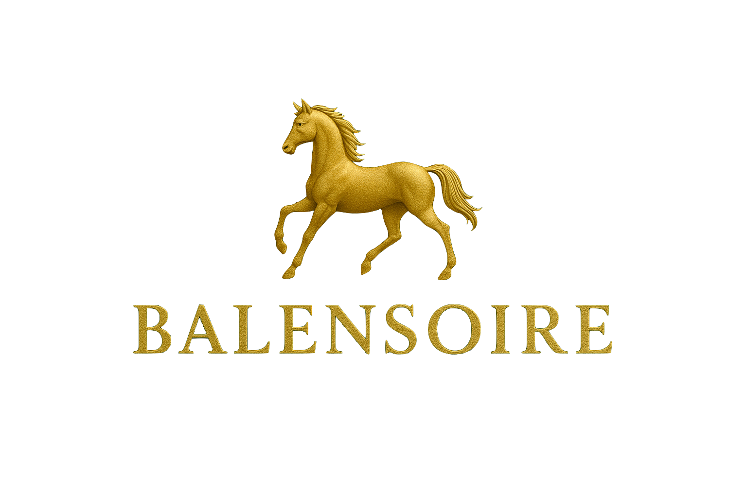 Balensoire Online Store